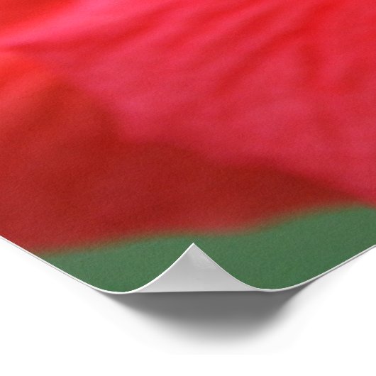 Hibiskus Poster (Ecke)