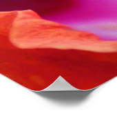 Hibiskus Poster (Ecke)