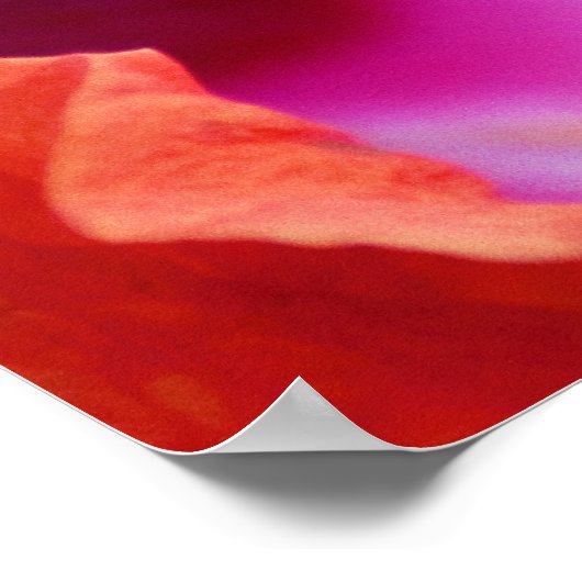 Hibiskus Poster (Ecke)