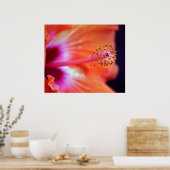 Hibiskus Poster (Küche)