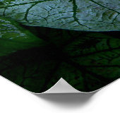 Hibiskus Poster (Ecke)