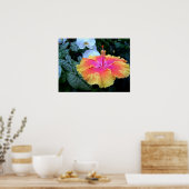Hibiskus Poster (Küche)