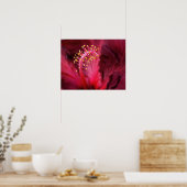 Hibiskus Poster (Küche)