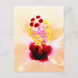 Hibiskus Postkarte