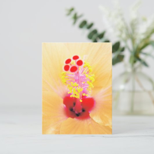 Hibiskus Postkarte (Stehend Vorderseite)