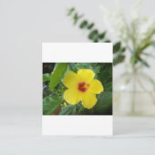 Hibiskus Postkarte (Stehend Vorderseite)