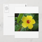 Hibiskus Postkarte (Vorne/Hinten)