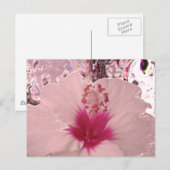Hibiskus Postkarte (Vorne/Hinten)