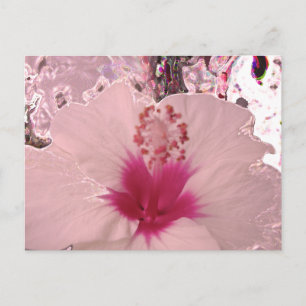 Hibiskus Postkarte