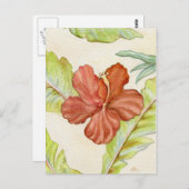 Hibiskus Postkarte (Vorne/Hinten)