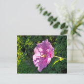 Hibiskus Postkarte (Stehend Vorderseite)