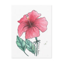 Hibiskus-Postkarte