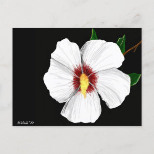 Hibiskus-Postkarte Postkarte