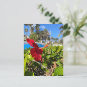 Hibiskus-Postkarte Postkarte (Stehend Vorderseite)
