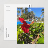 Hibiskus-Postkarte Postkarte (Vorne/Hinten)