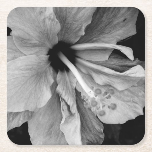 Hibiskus Rechteckiger Pappuntersetzer (Vorderseite)