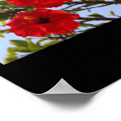 Hibiskus Red Blume Blue Sky Alicante Aufkleber Poster (Ecke)