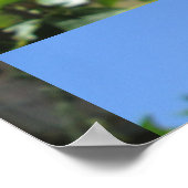 Hibiskus Red Blume Poster (Ecke)