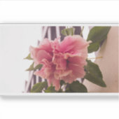 Hibiskus Rosa 02 Aufkleber (Vorderseite)