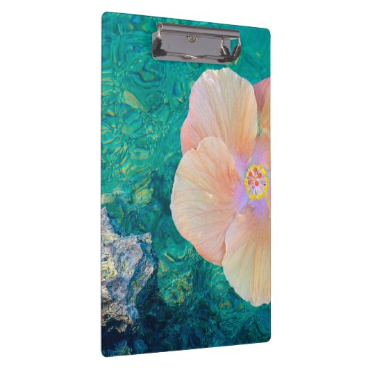 Hibiskus Rosa Blume türkis Ozean Hawaii Klemmbrett (Rechts)