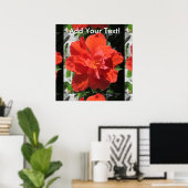Hibiskus Rote blühende Pflanze Poster (Heimbüro)