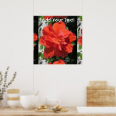 Hibiskus Rote blühende Pflanze Poster (Küche)