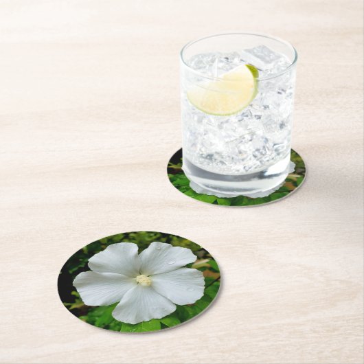 Hibiskus Runder Pappuntersetzer (Vor Ort)