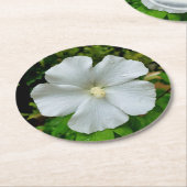 Hibiskus Runder Pappuntersetzer (Angewinkelt)