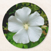 Hibiskus Runder Pappuntersetzer (Vorderseite)