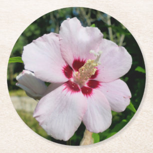 Hibiskus Runder Pappuntersetzer