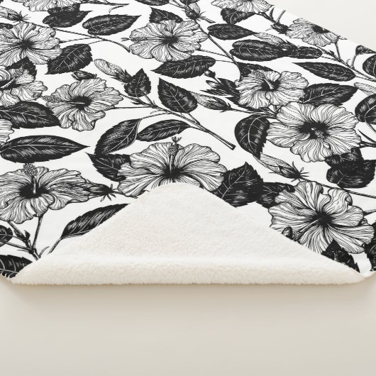 Hibiskus Sherpadecke (3/4)