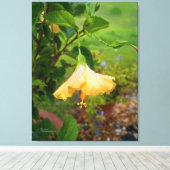 Hibiskus Tauwasser fällt Wrapped Canvas Leinwanddruck (Insitu (Holzboden))