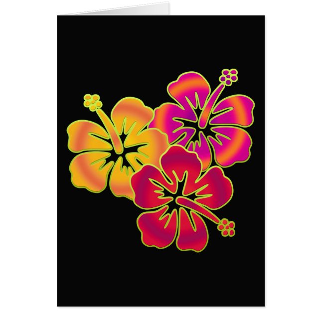 Hibiskus Trio | BG schwarz (Vorne)