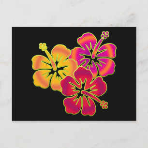 Hibiskus Trio BG schwarz Postkarte