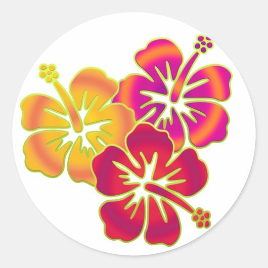 Hibiskus Trio Runder Aufkleber (Vorderseite)
