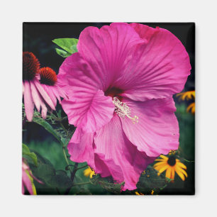 Hibiskus- und Freundschafts-Blumengarten  Magnet