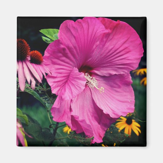 Hibiskus- und Freundschafts-Blumengarten Magnet (Vorne)