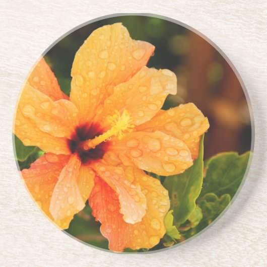 Hibiskus Untersetzer (Vorne)