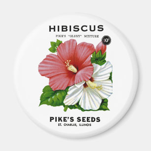 Hibiskus Vintages Saatgut Magnet