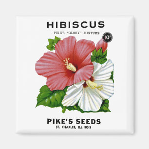 Hibiskus Vintages Saatgut Magnet