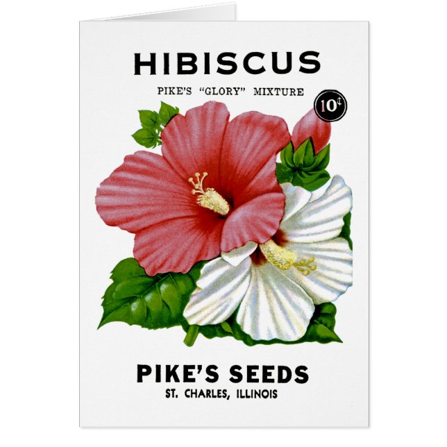 Hibiskus-Vintages Samen-Paket (Vorne)
