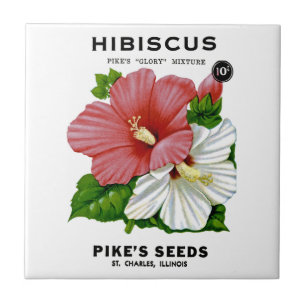 Hibiskus-Vintages Samen-Paket Fliese