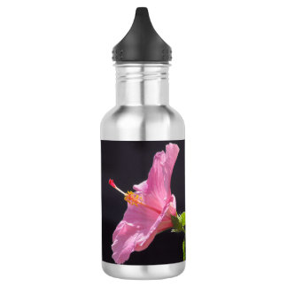 Hibiskusblüte im Profil Edelstahlflasche