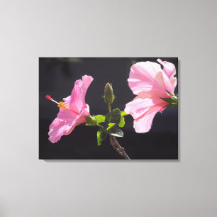 Hibiskusblüte im Profil Leinwanddruck
