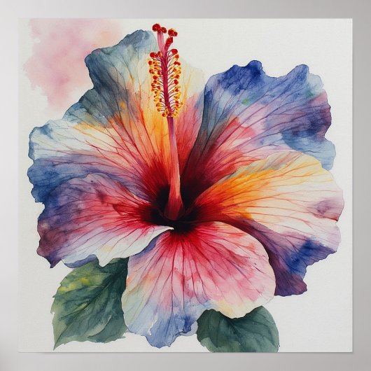 Hibiskusblüte Poster (Vorne)