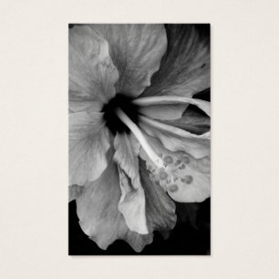 Hibiskusblüten-Fotografie