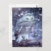 Hibou des neiges postkarte (Vorne/Hinten)