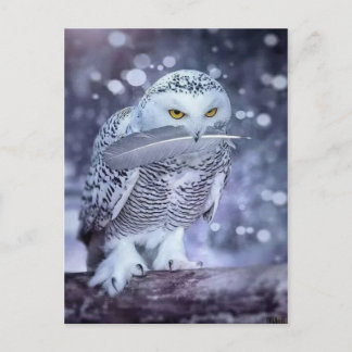 Hibou des neiges postkarte