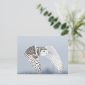 Hibou Harfang des neiges Postkarte (Stehend Vorderseite)