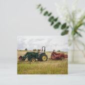 Hichten auf den Feldern der Golden Ranch Postkarte (Stehend Vorderseite)